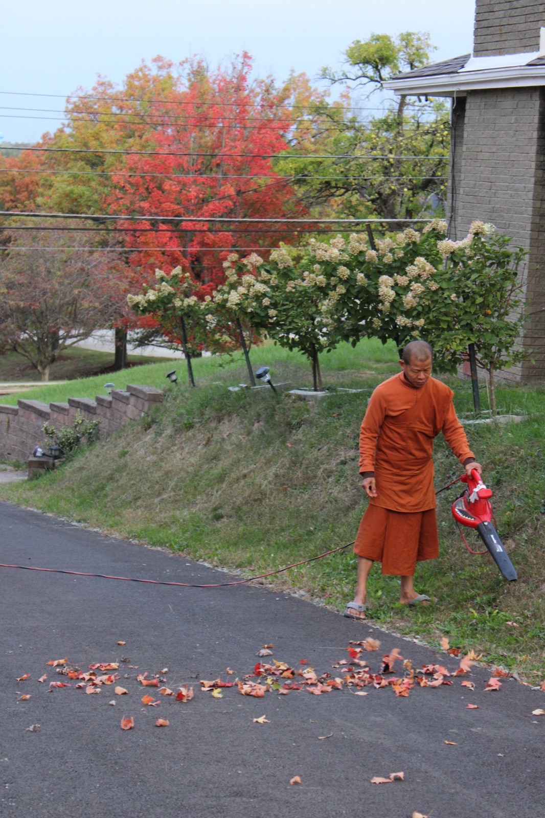 Monks, Meditations, Mafias, photo 6