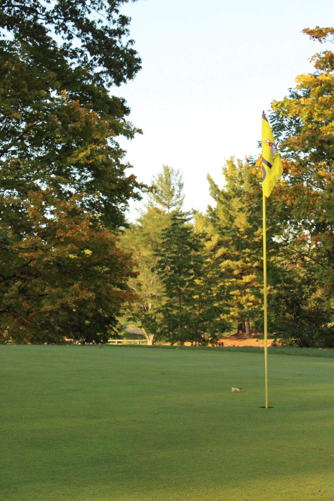 An Ode to Hickory Woods, photo 4