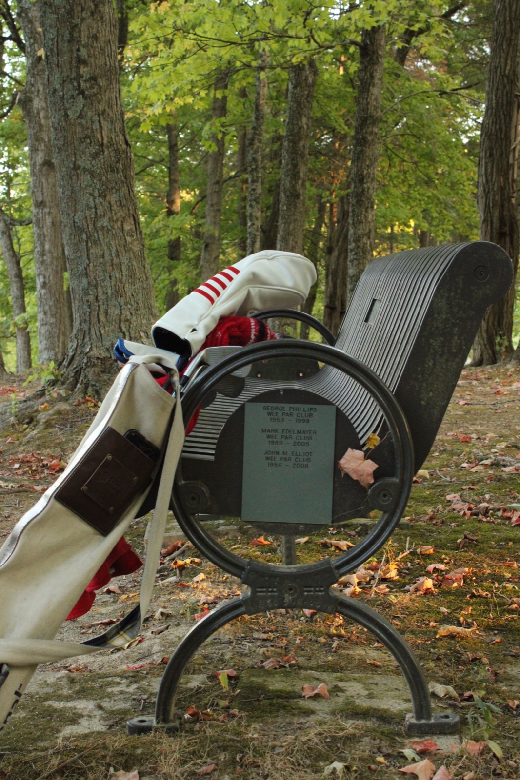 An Ode to Hickory Woods, photo 8