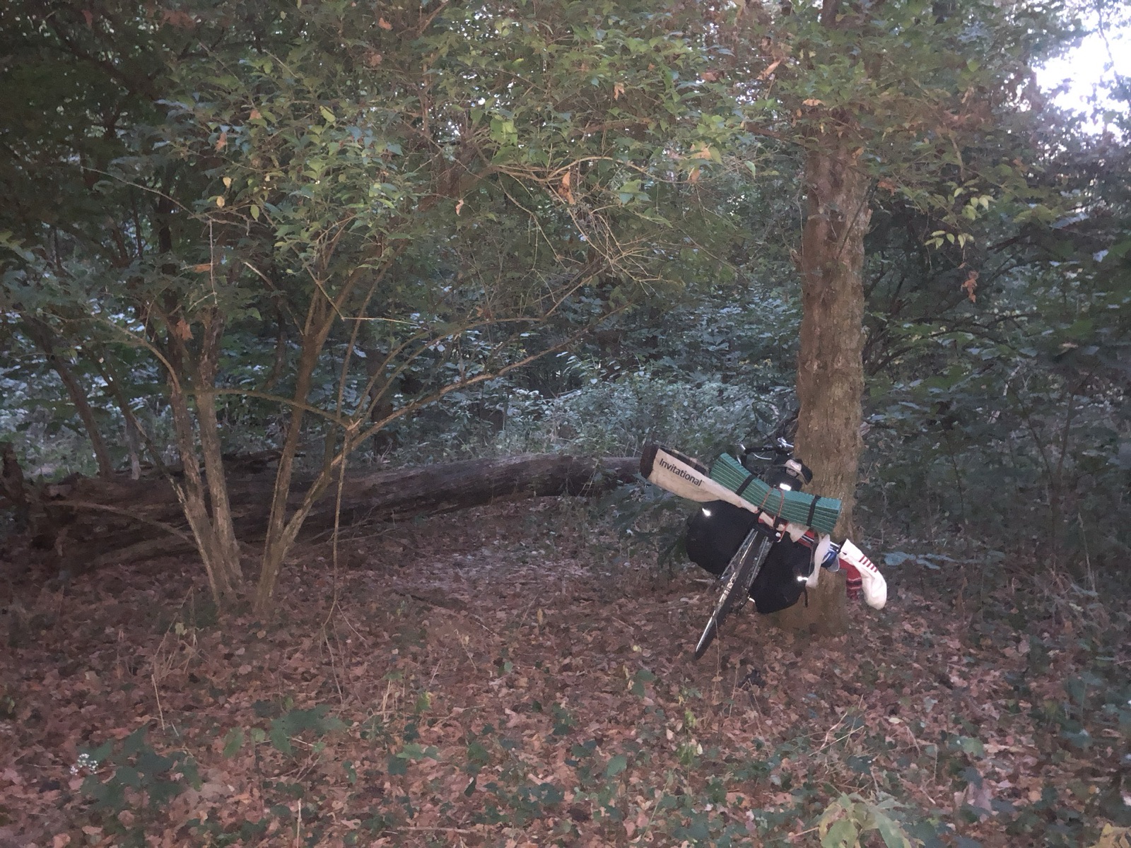 An Ode to Hickory Woods, photo 11