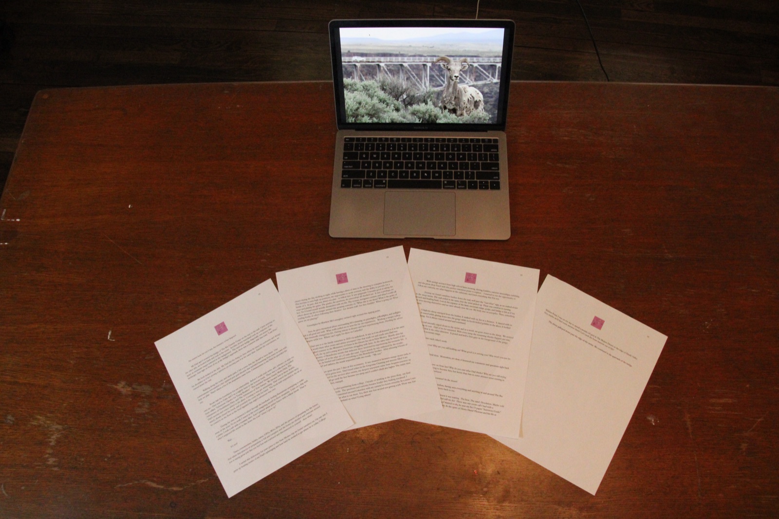01 (Print & Story Set Example), photo 3