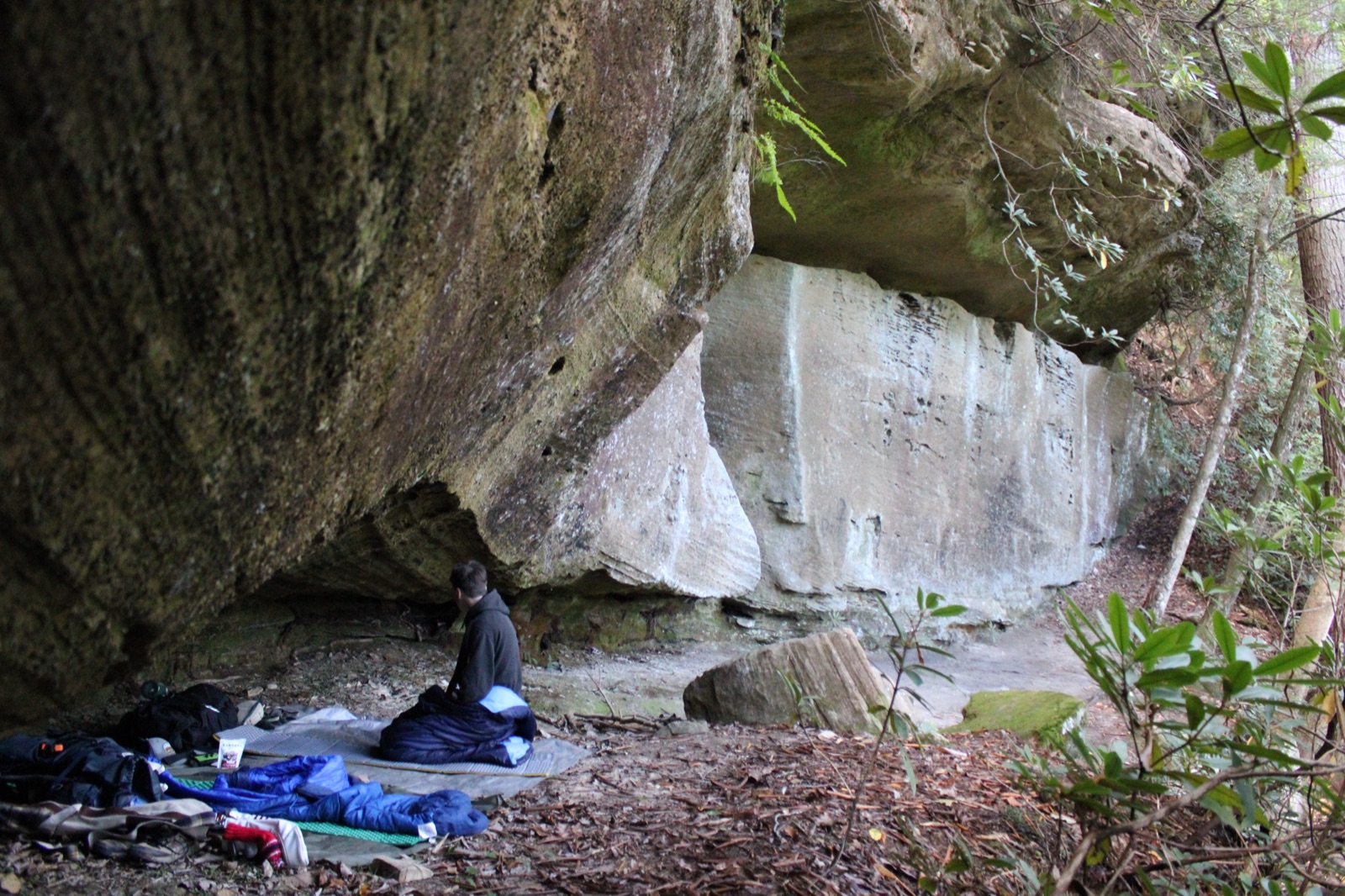 Morning under the rock overhang