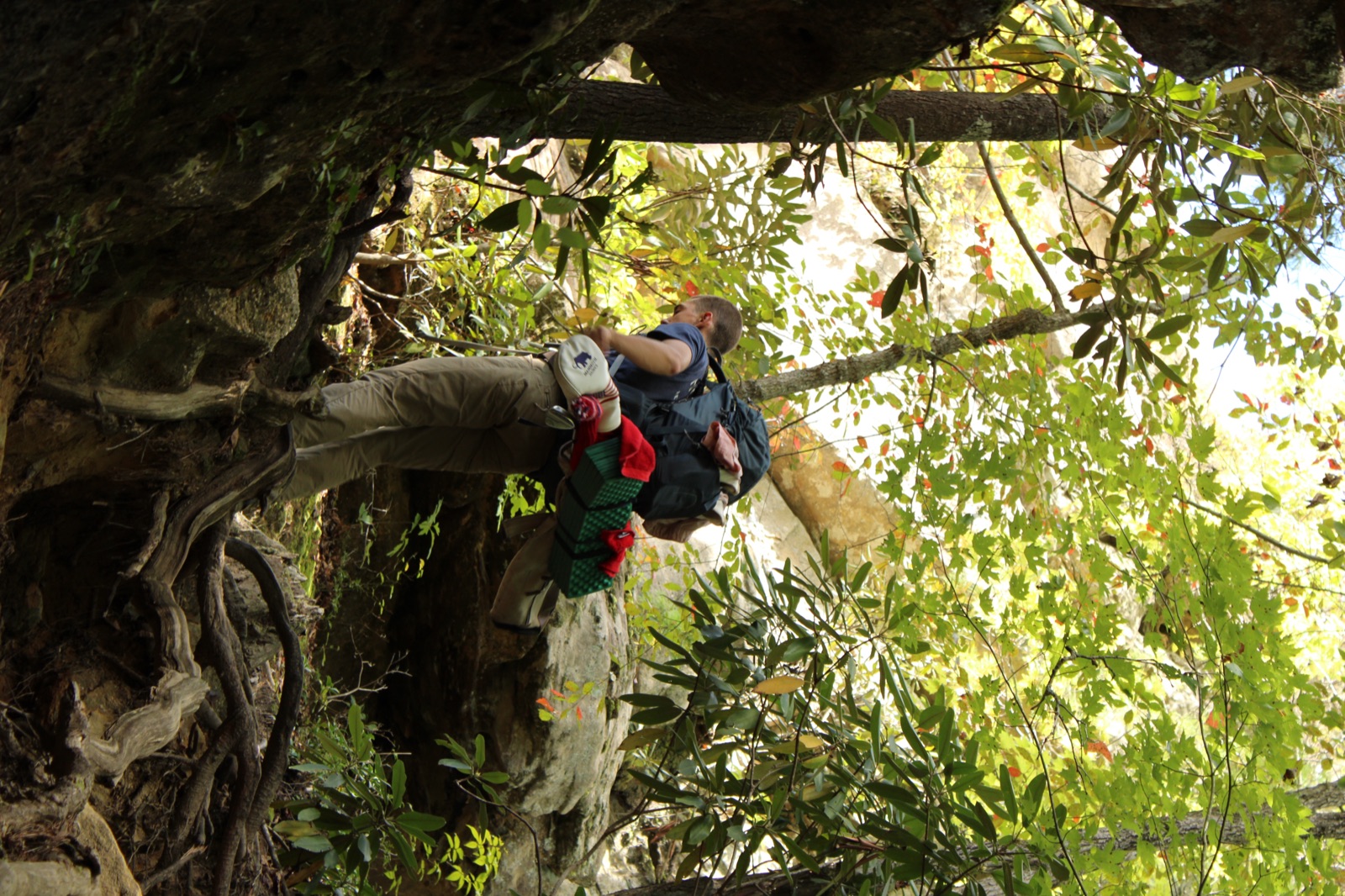 Climbing through trees with pack